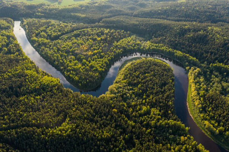 aerial view of green trees and river during daytime