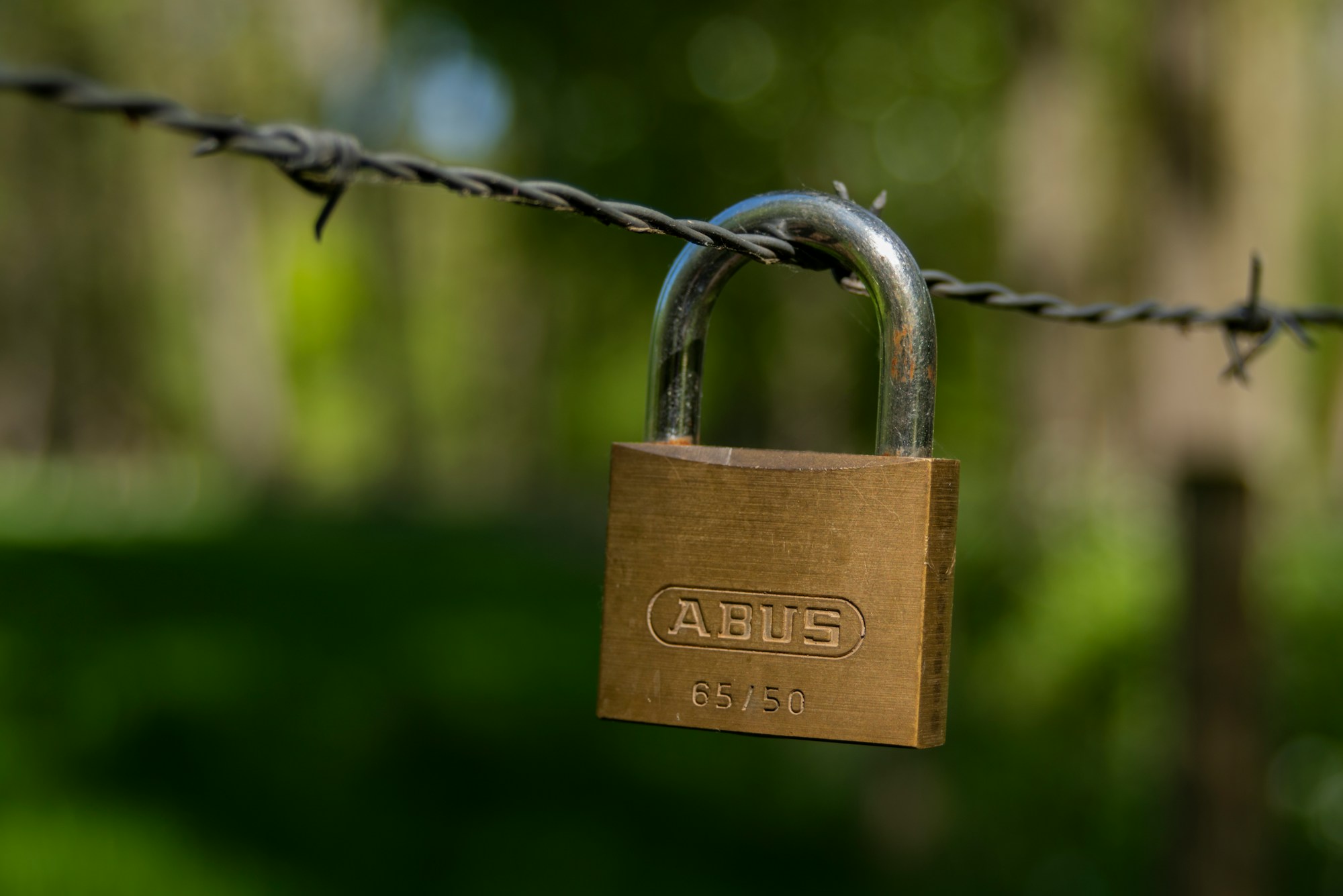 brown padlock on gray metal fence