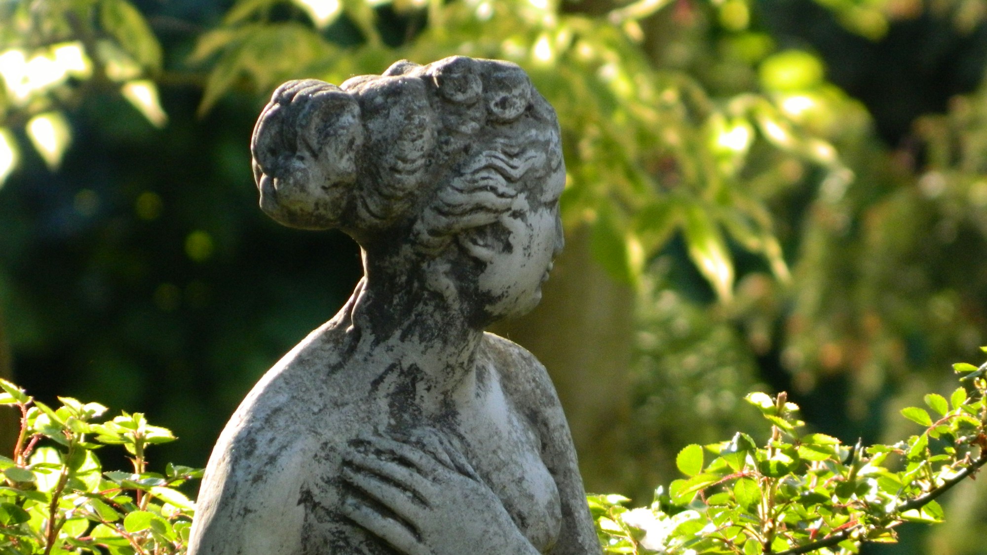 A statue of a dog in the middle of a bush